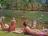 Free Sex Nudist Life On The Island